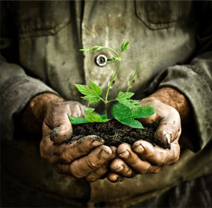 Κρητικά Παραδοσιακά Προϊόντα