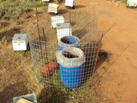 Βιολογικό Μέλι