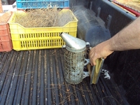 Βιολογικό Μέλι