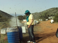 Βιολογικό Μέλι