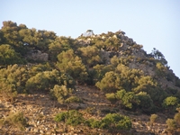 Βιολογικό Μέλι