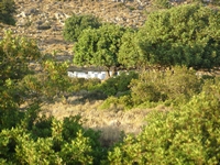 Βιολογικό Μέλι