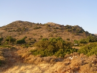 Βιολογικό Μέλι