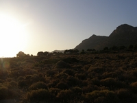 Βιολογικό Μέλι