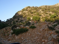 Βιολογικό Μέλι