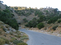 Βιολογικό Μέλι