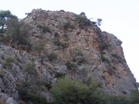 Βιολογικό Μέλι