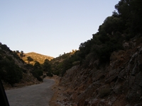 Βιολογικό Μέλι