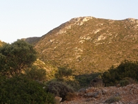 Βιολογικό Μέλι