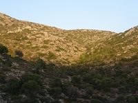 Βιολογικό Μέλι