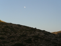 Βιολογικό Μέλι