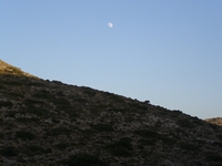 Βιολογικό Μέλι