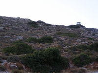 Βιολογικό Μέλι