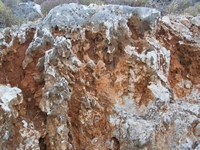 Βιολογικό Μέλι