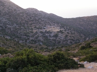 Βιολογικό Μέλι