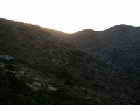 Βιολογικό Μέλι