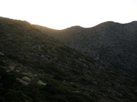 Βιολογικό Μέλι