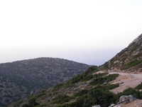 Βιολογικό Μέλι