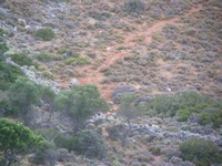 Βιολογικό Μέλι