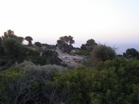 Βιολογικό Μέλι