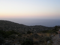 Βιολογικό Μέλι