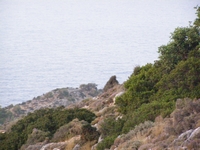 Βιολογικό Μέλι