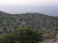 Βιολογικό Μέλι