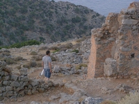 Βιολογικό Μέλι