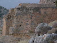 Βιολογικό Μέλι