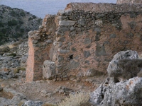 Βιολογικό Μέλι