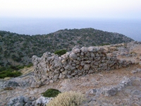 Βιολογικό Μέλι