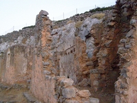 Βιολογικό Μέλι