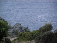 Βιολογικό Μέλι