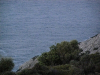 Βιολογικό Μέλι