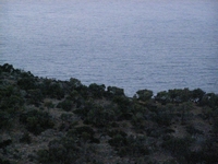 Βιολογικό Μέλι