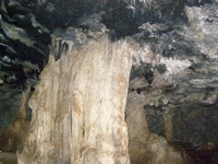 Βιολογικό Μέλι