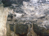 Βιολογικό Μέλι