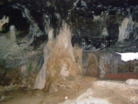 Βιολογικό Μέλι