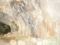 Βιολογικό Μέλι