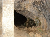 Βιολογικό Μέλι