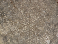 Βιολογικό Μέλι